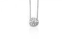 main thumbnail image for Tortoise Pendant