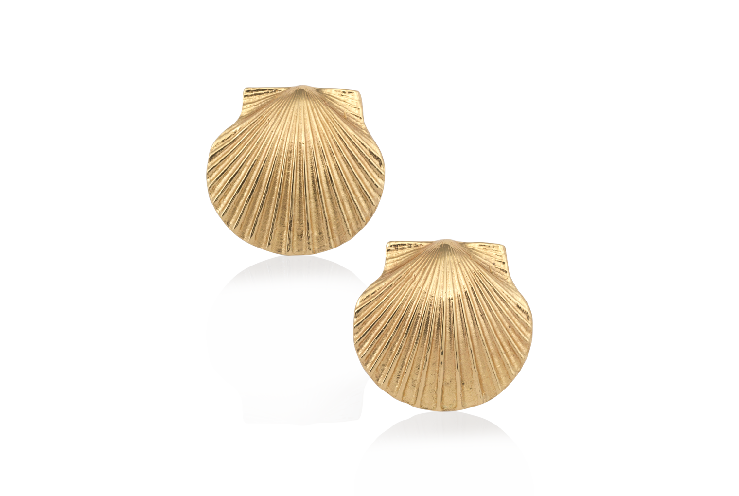 Scallop earrings on sale