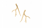 main thumbnail image for Coral Earrings