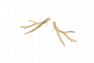 view01 thumbnail image for Coral Earrings