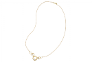 main thumbnail image for Hive Nucleus Diamond Necklace