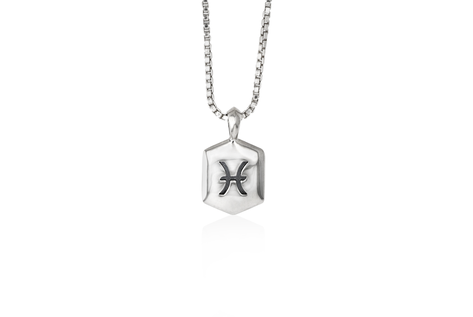 Pisces Pendant