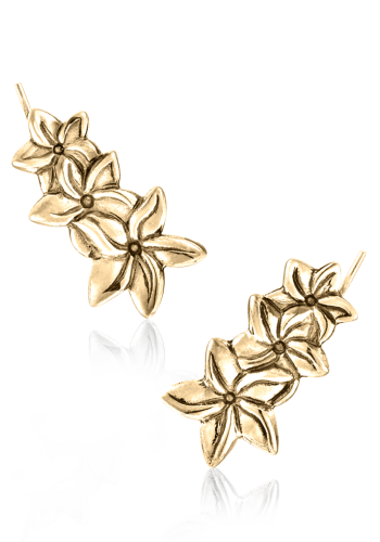 Jasmine Flower Crawlers